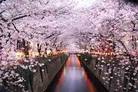 amazing-japan-6