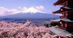 amazing-japan-7